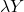 \lambda Y