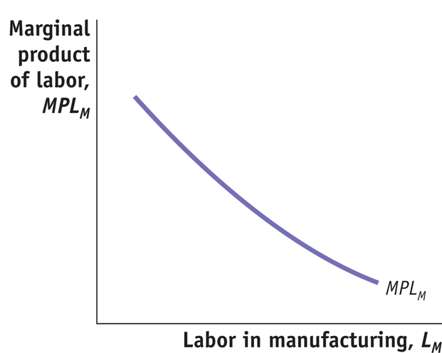 marginal product of labor dimishes